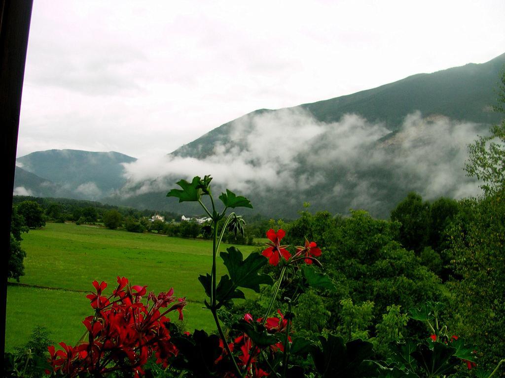Hotel Vina Olivan ซาร์บีเซ ห้อง รูปภาพ